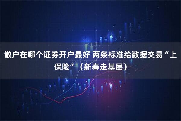 散户在哪个证券开户最好 两条标准给数据交易“上保险”(新春走基层)